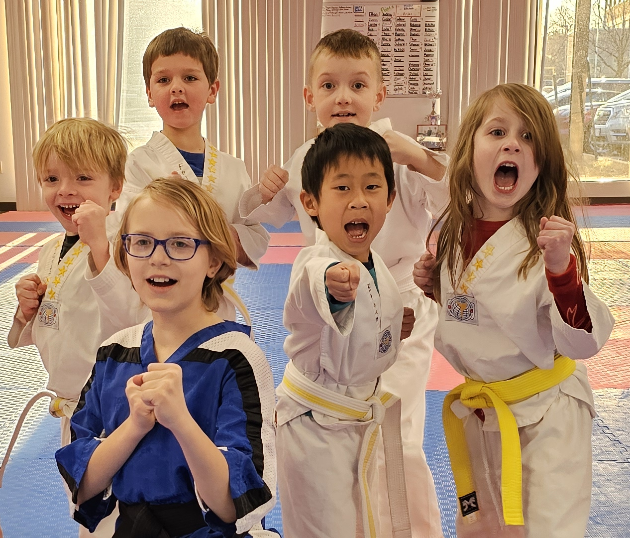 //masakimartialarts.com/wp-content/uploads/2026/06/26-Stripes.png